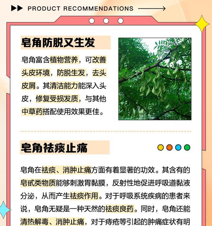 皂角树丰产栽培的关键技术是什么？