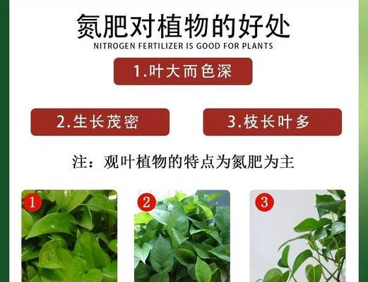自制水溶氮肥的方法和注意事项是什么？