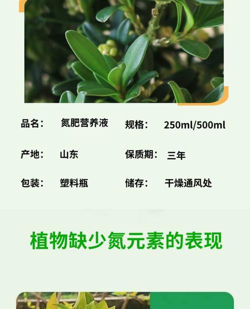 自制水溶氮肥的方法和注意事项是什么？