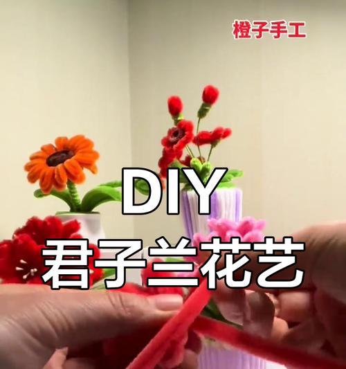君子兰作为礼物如何送给好友？