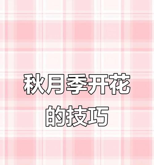 如何让月季花大量开花？