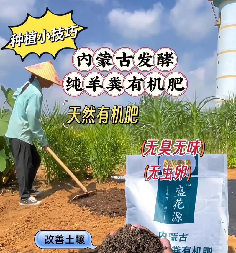 自制肥料种水果蔬菜的方法是什么？