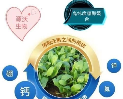 自制肥料种水果蔬菜的方法是什么？