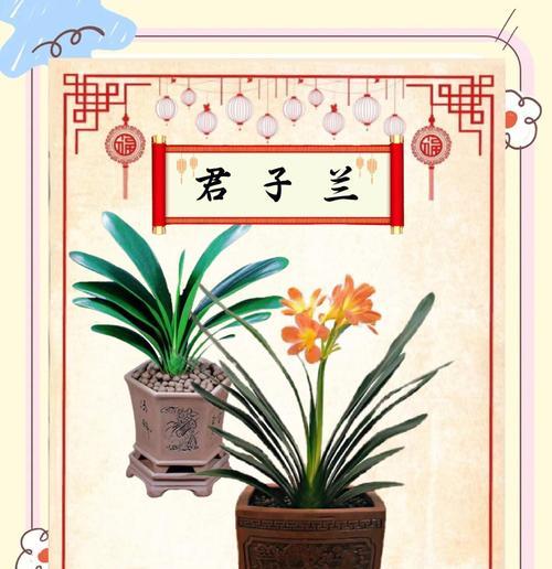 君子兰适合使用哪些植料？