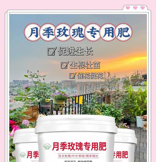 月季专用生长肥料的正确使用方法是什么？