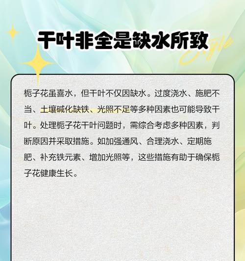 四季栀子花叶子发黄干叶的原因是什么？如何解决四季栀子花叶子问题？