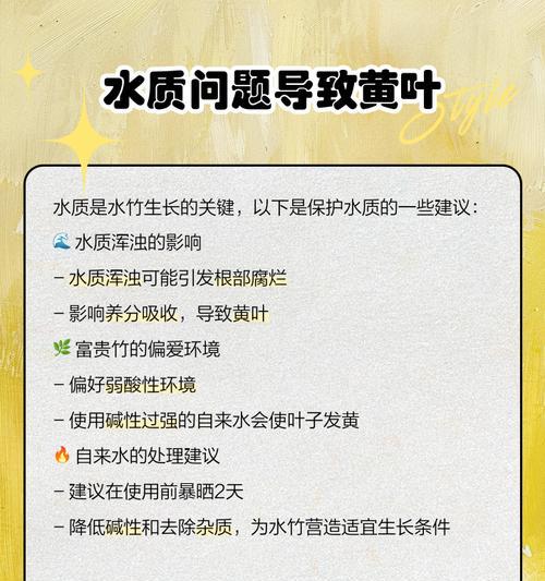 水竹叶子黄枯？龟缸中的补救措施！