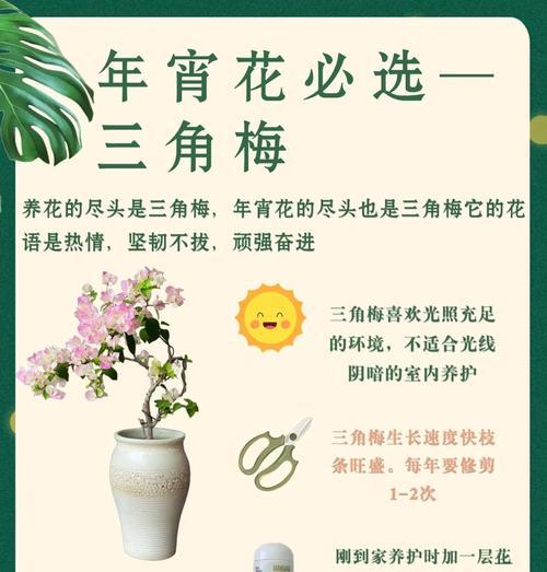 三角梅生长年限如何辨别？有哪些技巧？