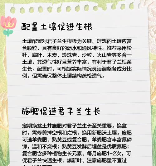 君子兰根部生长缓慢如何促进？