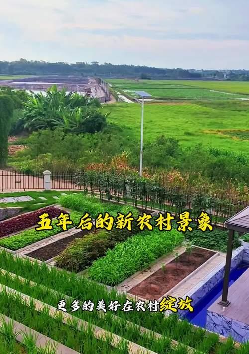 农庄播种场地有哪些要求？