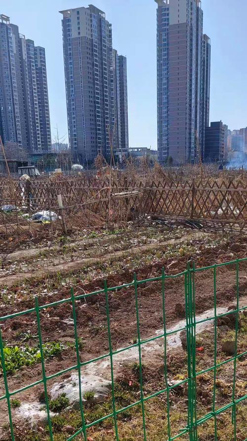 农庄播种场地有哪些要求？