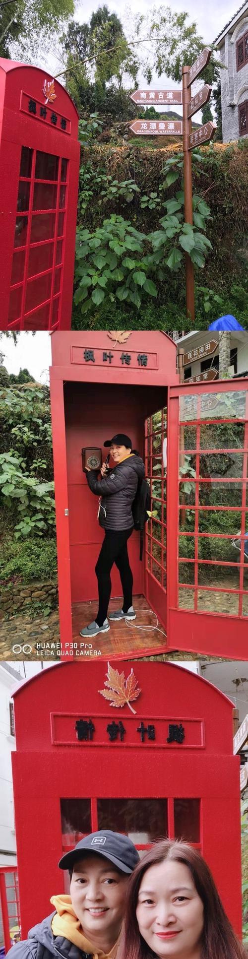 红叶积木叶子发黄应如何处理？