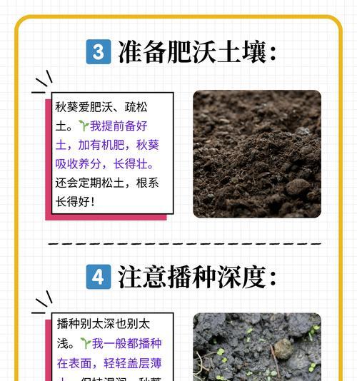 油葵花最佳播种季节是什么时候？