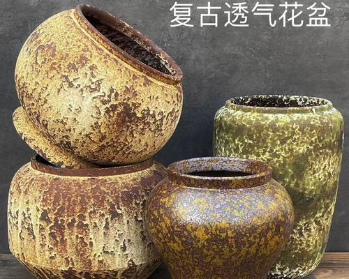 陶盆中的三角梅如何安全取出？