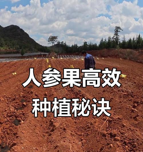 人身果栽培技术要点是什么？如何掌握人身果的高效种植技巧？