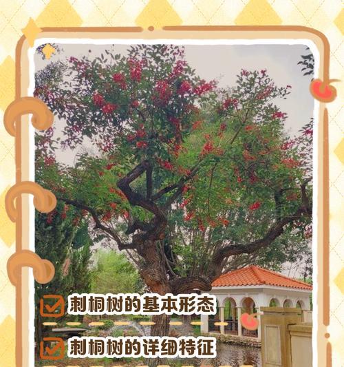 刺桐树栽培技术要点是什么？如何确保刺桐树健康成长？