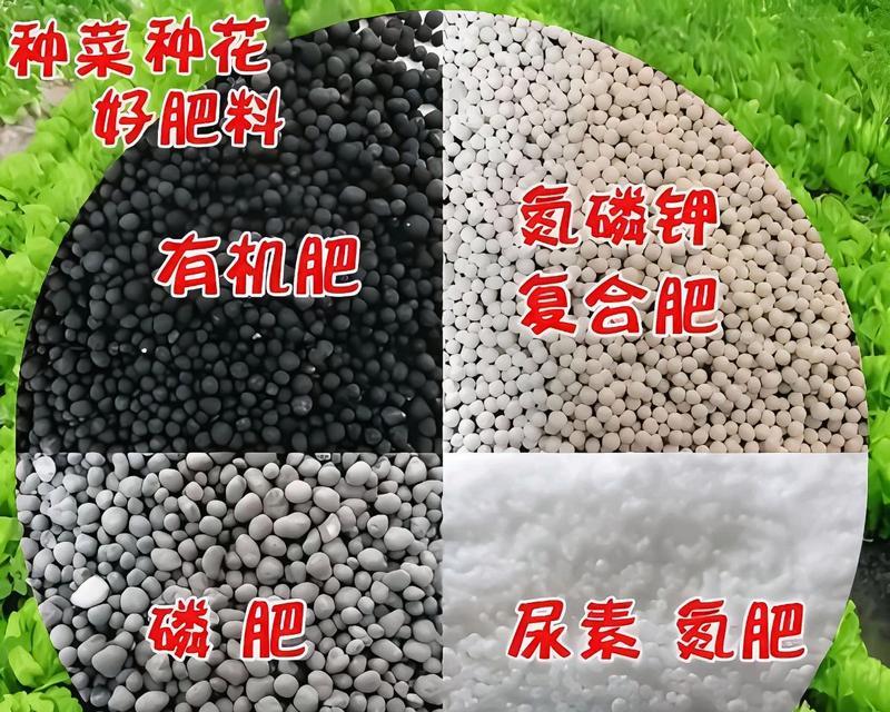 如何自制花卉浇灌肥料？自制花卉肥料的方法和好处！