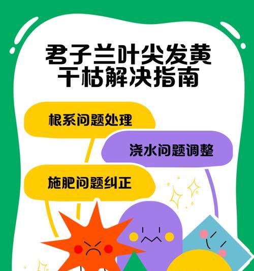 君子兰枯萎叶子仍绿？这是什么原因？