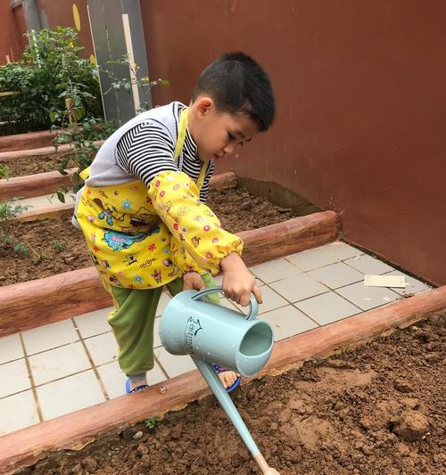 公务员播种是什么含义？播种过程中应注意什么？