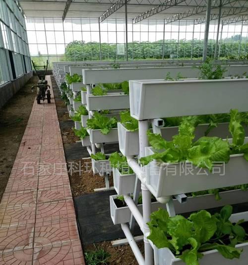 草莓营养液栽培技术是什么？