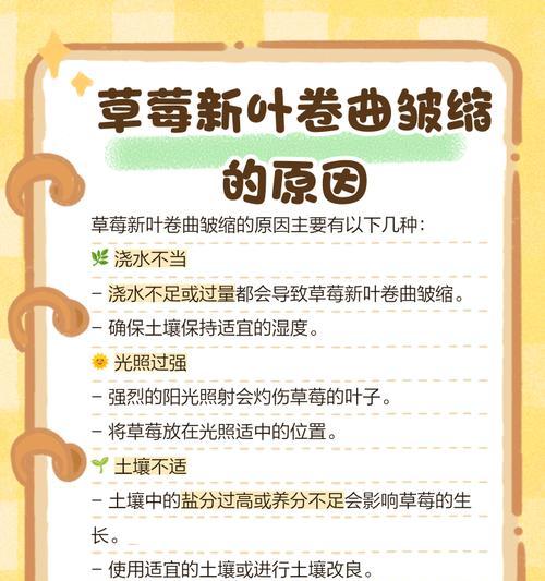 草莓叶子发黄是什么原因？如何解决？