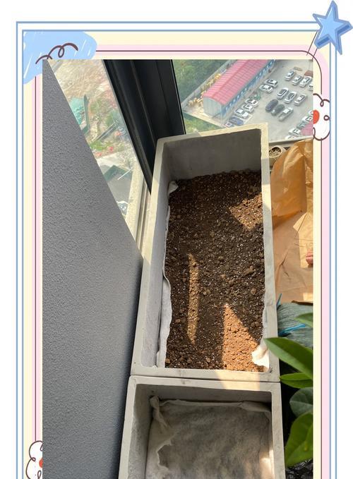 天竺葵削苞现象的原因是什么？