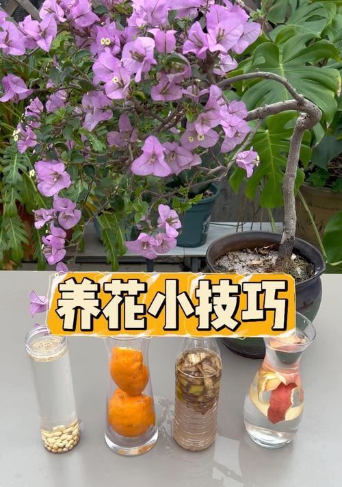 养花技巧中堆肥方法有哪些？