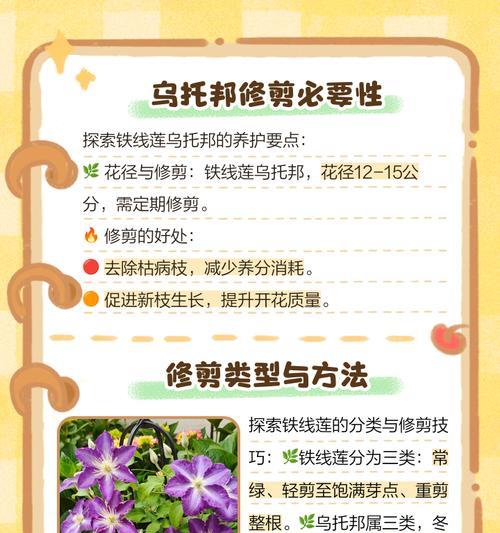 冬天如何种植铁线莲的根？