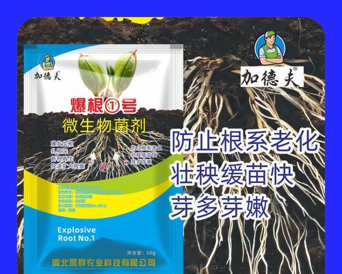 自制野生枯草肥料的方法是什么？