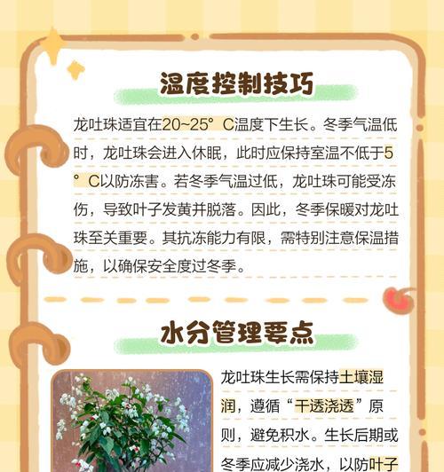 五爪龙叶子发黄怎么办？如何进行有效的养护？