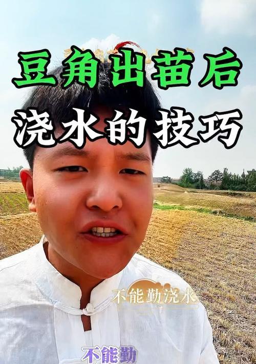 豆角苗浇水的正确方法有哪些？