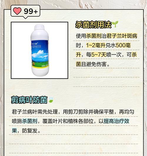 君子兰出现毛斑的可能原因及防治措施？