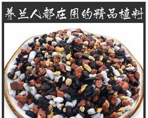 君子兰和蝴蝶兰怎么运输？运输过程中需要注意的事项有哪些？