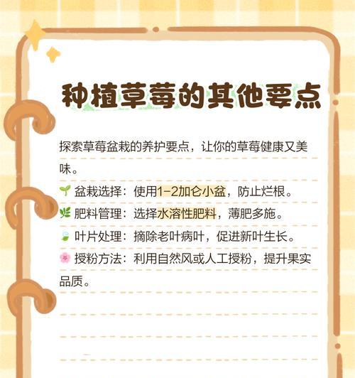 草莓特种栽培技术要点是什么？怎样提高草莓产量和品质？