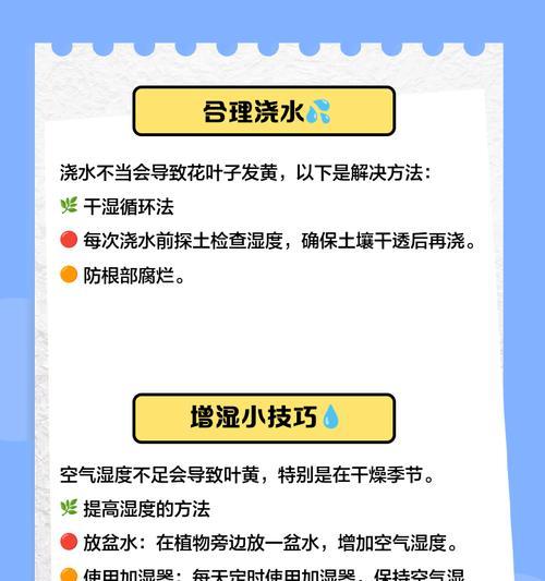 夏季植物叶子发干发黄的应对措施是什么？