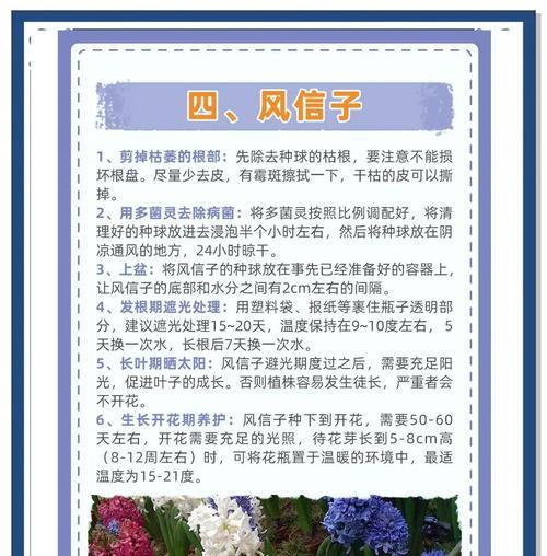 秋花球根植物怎么养护？球根植物秋季护理要点是什么？