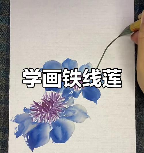 铁线莲手绘技巧是什么？