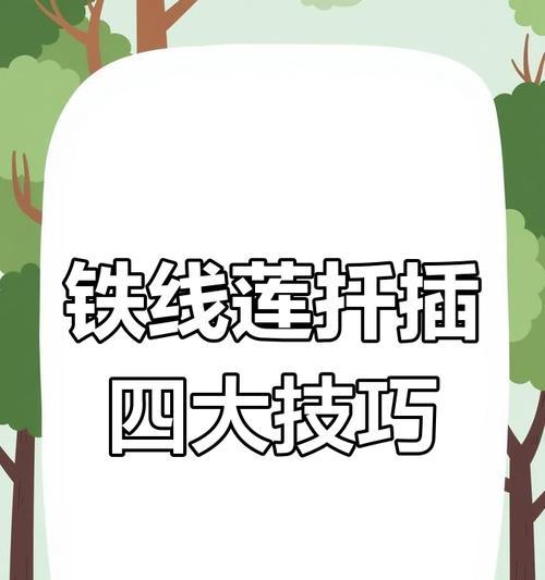铁线莲扦插杆种植方法是什么？需要注意什么？