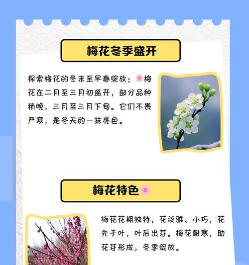 梅花为什么要原生植物？原生植物对梅花生长的重要性是什么？