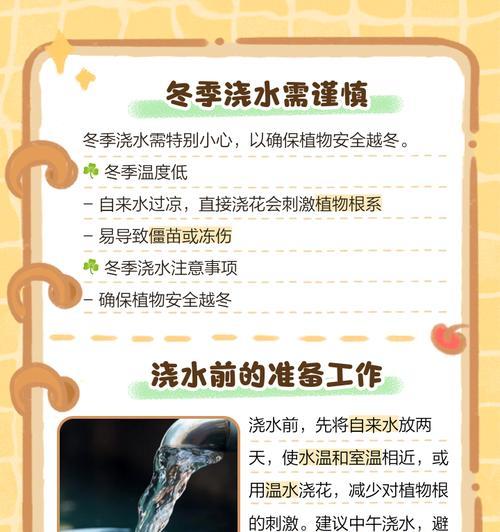 如何正确加大植物的浇水力度？有哪些注意事项？