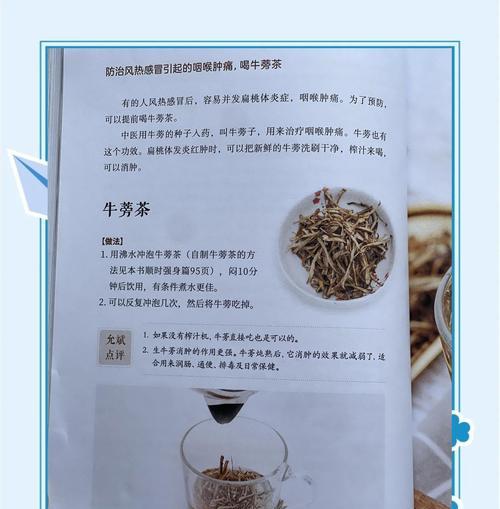 牛蒡栽培技术要点是什么？