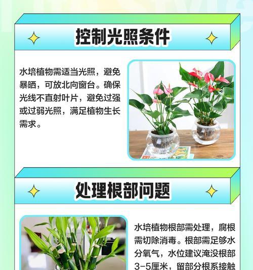 植物叶子破裂发黄是什么原因？如何进行有效处理？