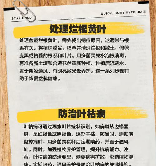 盆景水分过多叶子发黄的处理方法是什么？