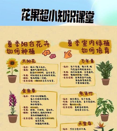 花为什么不宜放在阳台？阳台种植花卉的禁忌有哪些？
