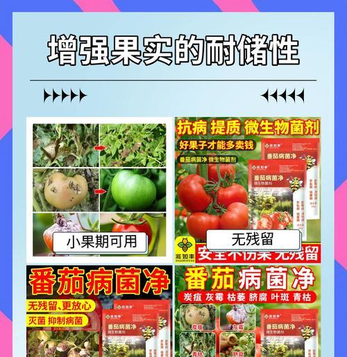 翻茄叶子发黄的原因是什么？
