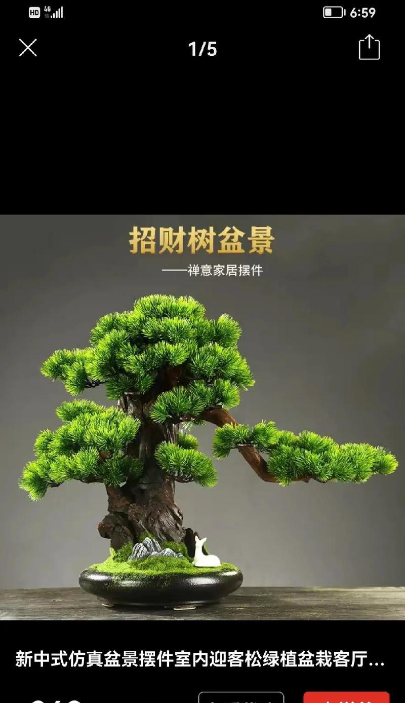 盆景树桩托盘怎么用的？使用方法是什么？