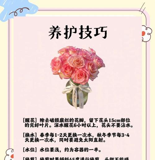 玫瑰月季去刺后如何正确养护？