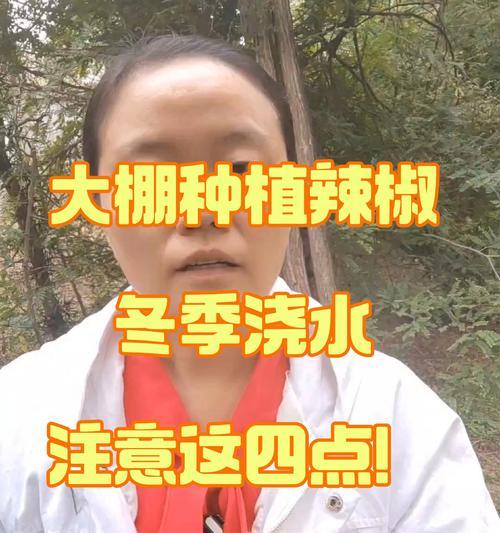 大棚浇水的最佳方法是什么？