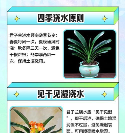 君子兰修剪的最佳时机是什么时候？