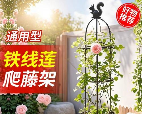 铁线莲小苗牵引架种植需要注意什么？